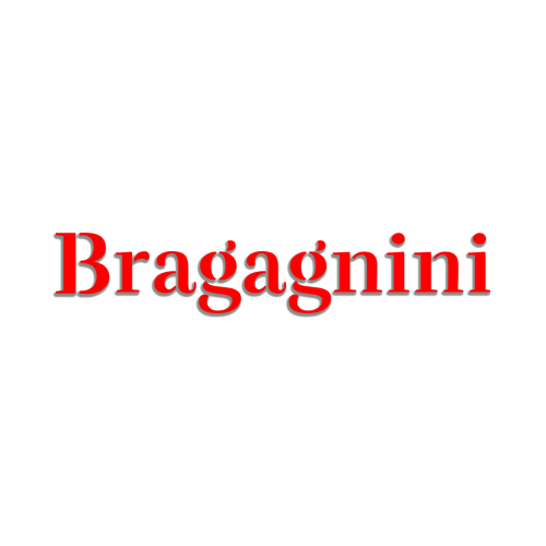 Bragagnini
