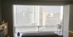 DEPARTAMENTO TOTALMENTE AMOBLADO A PASOS DE DASSO