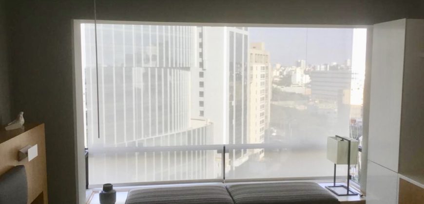DEPARTAMENTO TOTALMENTE AMOBLADO A PASOS DE DASSO