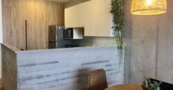 EXCLUSIVO DEPARTAMENTO MODERNAMENTE DECORADO ESTILO ÚNICO CON TERRAZA EN BARRANCO
