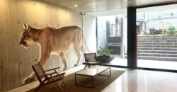 EXCLUSIVO DEPARTAMENTO MODERNAMENTE DECORADO ESTILO ÚNICO CON TERRAZA EN BARRANCO