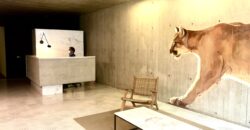 EXCLUSIVO DEPARTAMENTO MODERNAMENTE DECORADO ESTILO ÚNICO CON TERRAZA EN BARRANCO