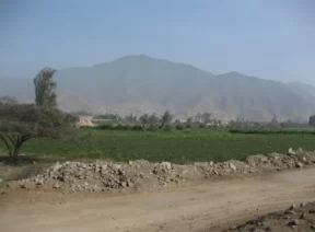Terreno